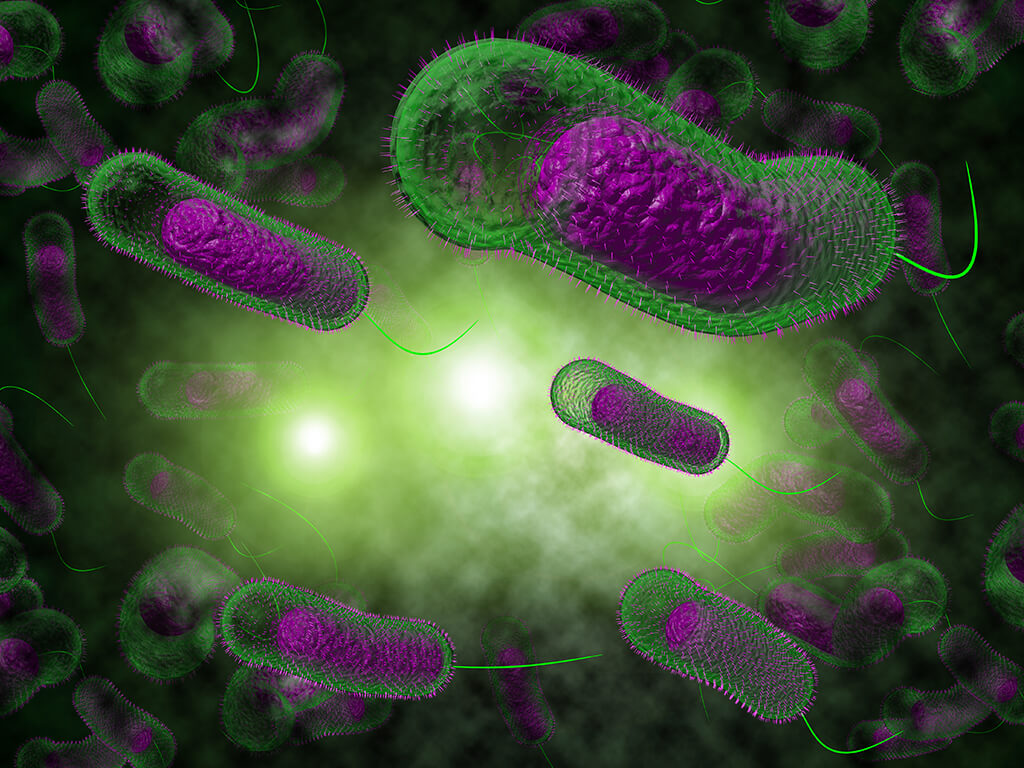 微生物及生物毒性检测